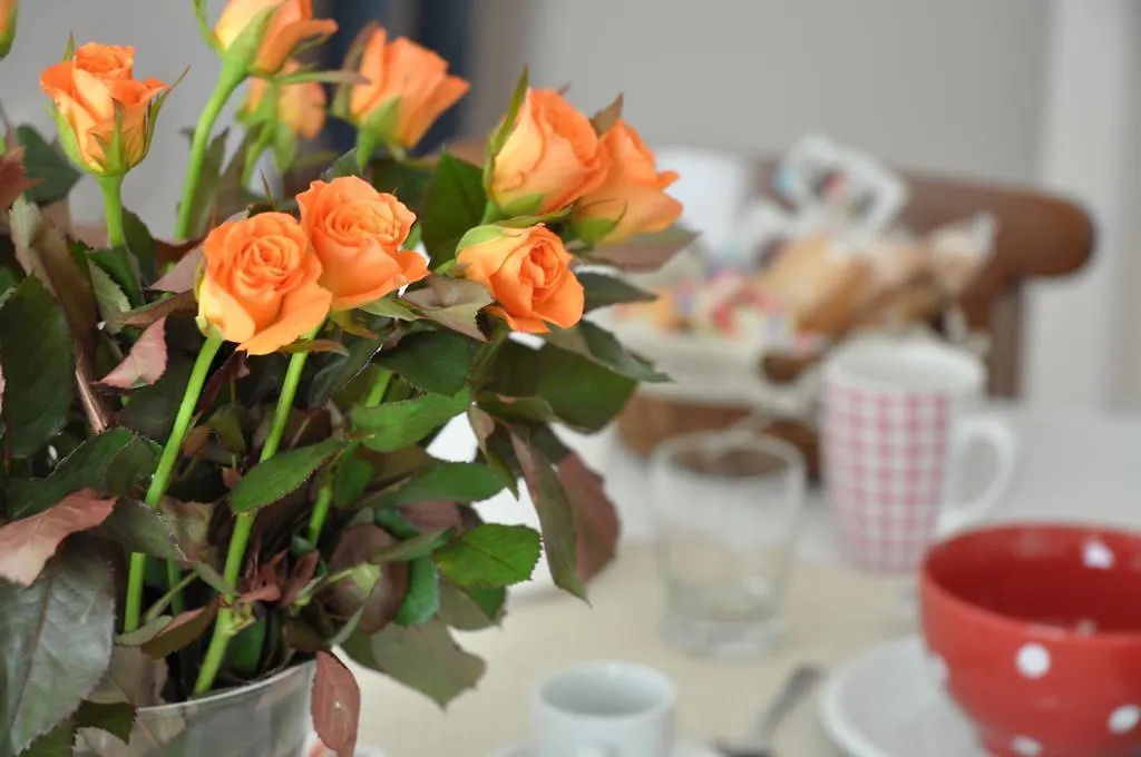 Le Stanze Di Rebecca Bed & Breakfast Rome Italy